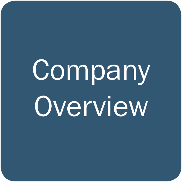 Company Overview Icon 1