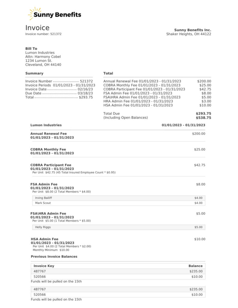 Detailed Invoice