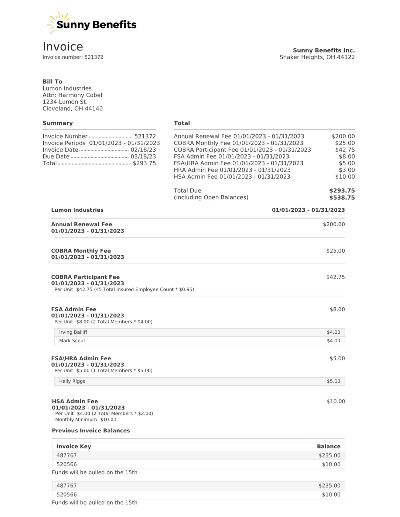 Detailed Invoice